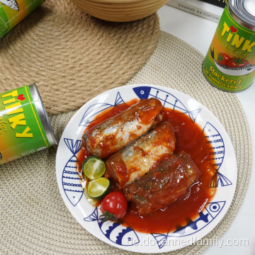 Konservierter Makrelenfisch In Der Dose Mit Tomatensoße